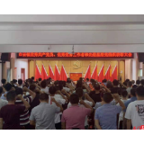 白云镇:召开优秀共产党员、优秀党务工作者和先进基层党组织表彰大会