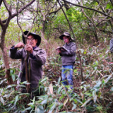 【绿色石门】陈振法:守护大山30年
