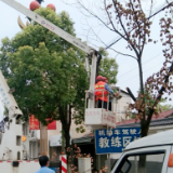 县城管执法局:开展死树枯枝专项清理活动