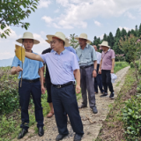 石门：专家把脉 科技助农