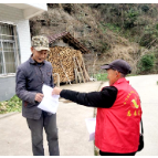 太平镇：激发党员活力 助推乡村振兴