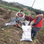 宝峰街道月亮山社区：让社区更文明，让生活更美好