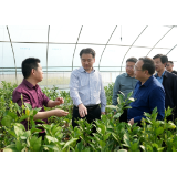 丁克刚赴夹山、蒙泉调研督导当前重点工作
