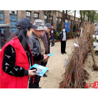 楚江街道:开展初春果树苗木打假宣传活动