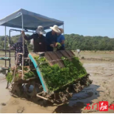 石门财政推动农机社会化服务