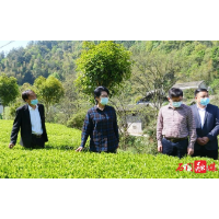 陈华在石门县调研乡村振兴工作时强调： 做好“红色”“绿色”文章 作出乡村振兴示范