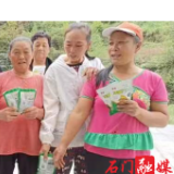 罗坪乡：分类治理保春收 耕地抛荒忙秋种