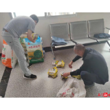 子良镇：油菜种子暖心田 技术服务到农田