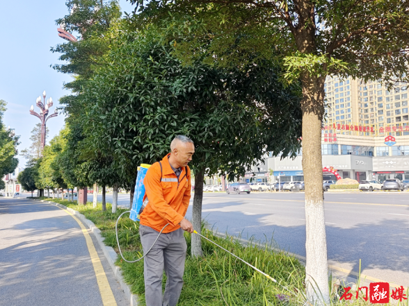 石门城管：开展冬季树木涂白工作