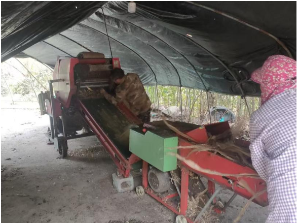 秸秆禁限烧和综合利用 | 壶瓶山镇：多措并举推进秸秆禁烧工作