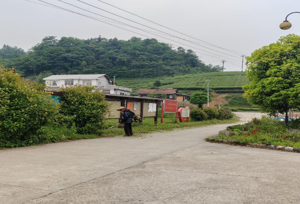 罗坪乡：开展人居环境整治集中攻坚行动