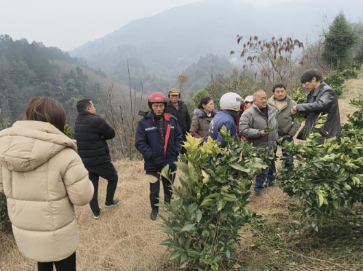磨市镇：举办柑橘种植技术专题培训班