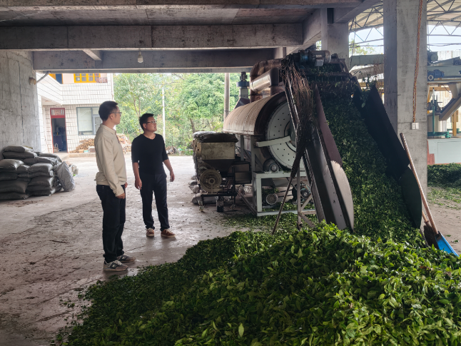 罗坪乡：开展安全生产督导检查