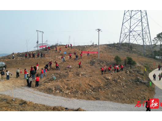 石门县开展义务植树活动