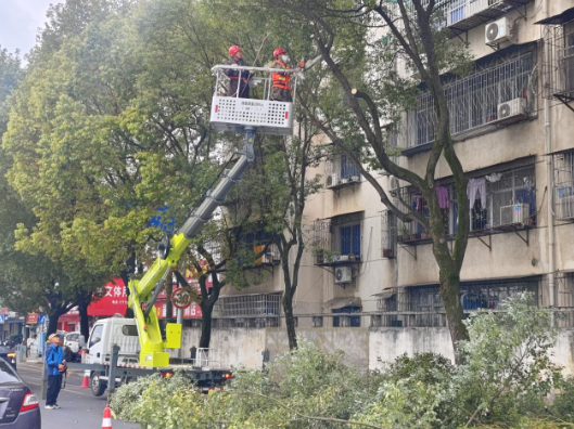 石门城管：开展行道树修剪作业