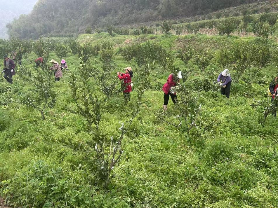 图片4.png 图片4.png