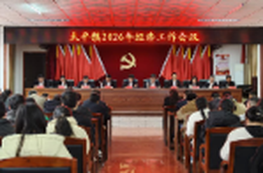 太平镇：召开2026年经济工作会议