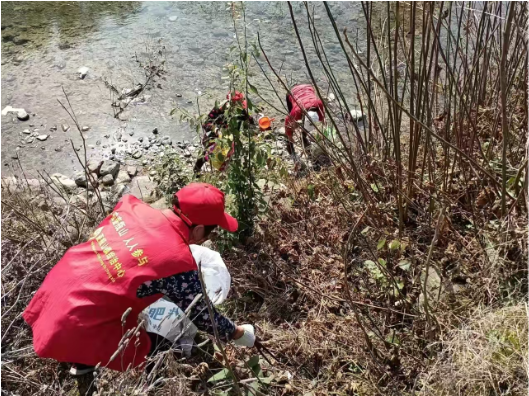 壶瓶山镇平洞村：开展人居环境整治 绘就美丽乡村新图景