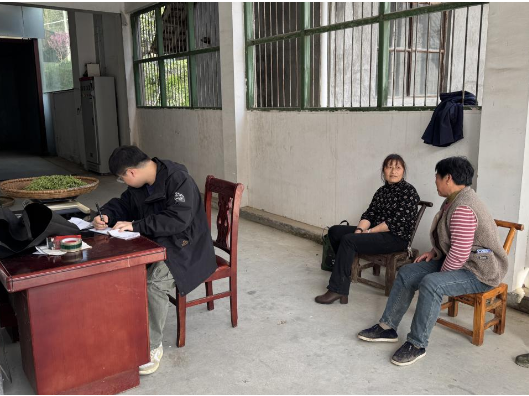 罗坪乡：春茶鲜叶购销两旺