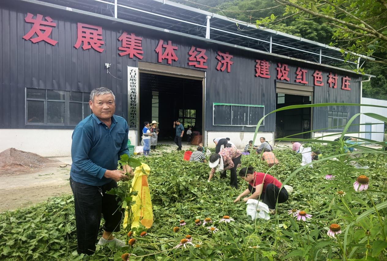 图片5.png 图片5.png