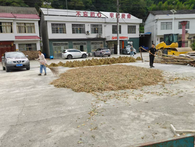 雁池乡皮家河村：党群阵地变身晒谷场 暖心助农稳秋收