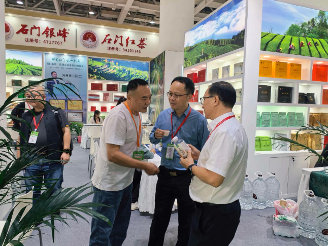 借力湖南茶博会！石门高山茶以创新姿态拓宽市场、擦亮金字招牌