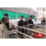 县领导赴雁池乡督导当前工作