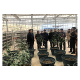 生态环境部土壤生态环境司来石门县调研雄黄矿土壤修复治理项目