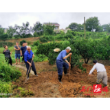 竹园塔社区：闻“汛”而动挖堰堤