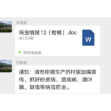 石门子良：加强柑橘病虫防治