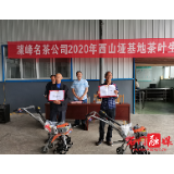 石门茶业——奖扶产业助脱贫