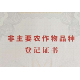 石门首次获得柑橘新品种国家级证书