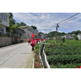 子良镇:“两联两包”助推农村人居环境整治