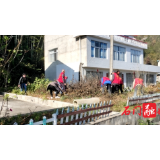 雁池乡：整治环境卫生 助力文明村居创建