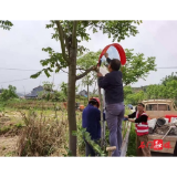 县公路建设养护中心:严阵以待,打好岁末年初安全生产百日大会战