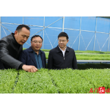 郭碧勋赴秀坪蒙泉夹山督导当前重点工作