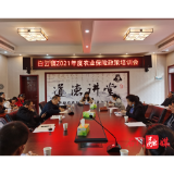 白云镇:心系三农 撑起农业“保护伞”