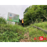 皂市镇:加强水源地保护 呵护群众“生命线”