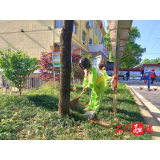 宝峰街道竹园塔社区：大手牵小手 共创文明城