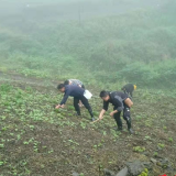 磨市镇长峪村：种下去的是黄豆，结出的是干群“鱼水情”