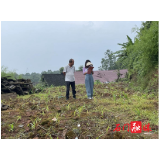 所街乡:有条不紊地开展增减挂钩工作