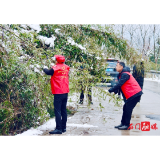 维新镇： 新年上班第一天，冰天雪地里出现了 一抹“红”