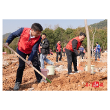 邓碧波参加义务植树活动、开展巡林工作