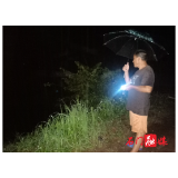 太平镇：防汛无小事，有备才无患