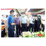 县领导带队开展省级文明城市创建专项督查