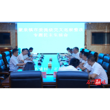 丁克刚参加指导蒙泉镇市委提级交叉巡察整改专题民主生活会