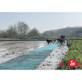 三圣乡：抢抓农时不负春 春耕春种掀热潮