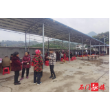 皂市镇：心系老年人健康 免费体检暖人心