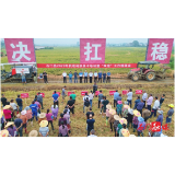 【记者走基层】石门：抓好机收减损暨“双抢”工作  确保粮食颗粒归仓