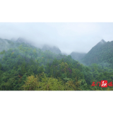 石门:厚植生态底色 守护绿水青山